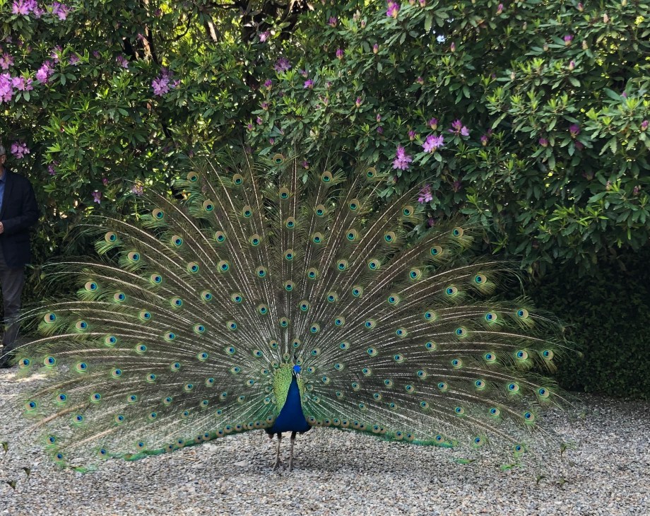 46C3EC0E-2012-4DD7-B4D7-B3B2FB089B7A