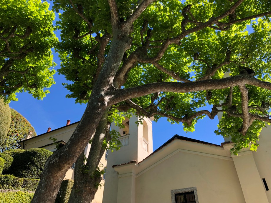 51618618-32D8-4696-803C-F714F3AB578F