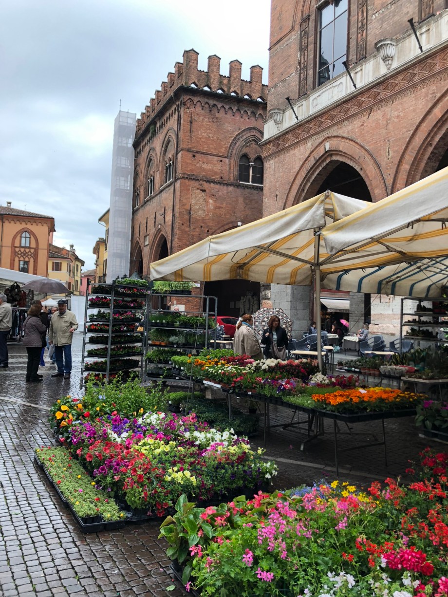 54E072A1-7817-4B6A-A415-C1004494E13C