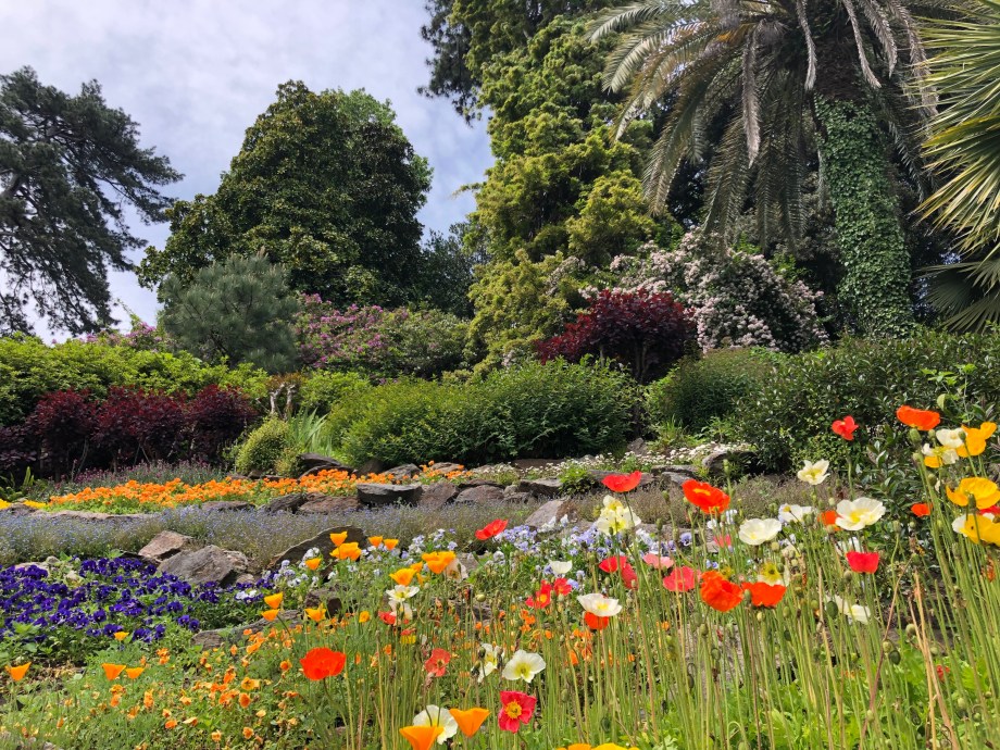 6014CBF5-A934-4D13-AF79-0F4552C00D32