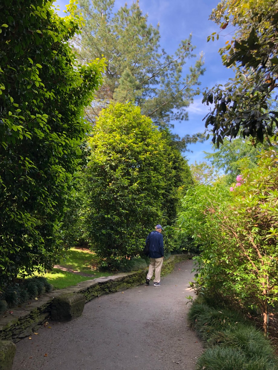 90C7E596-F9D5-488E-9304-3F31BC432DFD