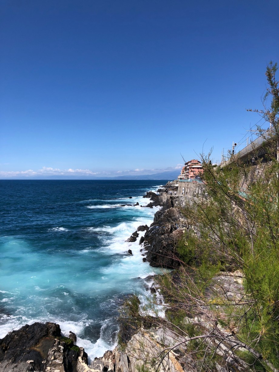 9146CEF8-9607-4C6D-97BC-98F8C7864A87