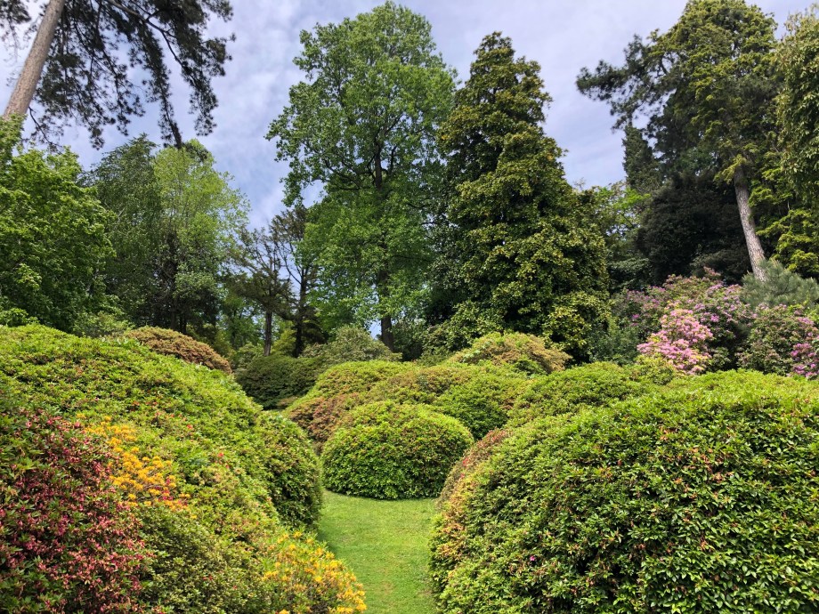 99387124-8C99-4FD5-85A6-329A29120072