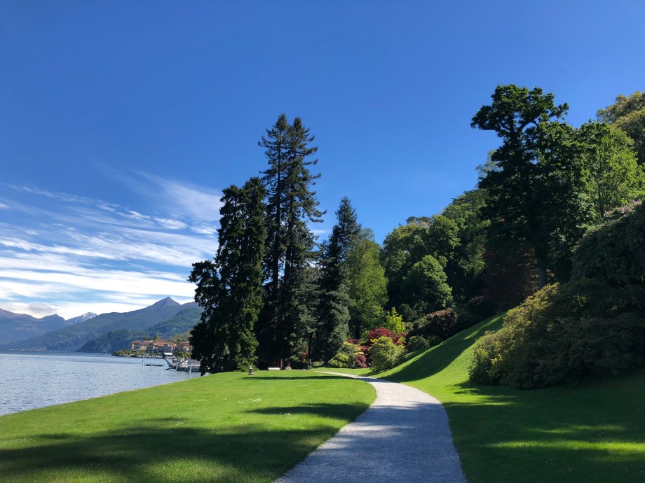 AB0E95EF-4E83-4553-8A0E-768ED8E96E4B