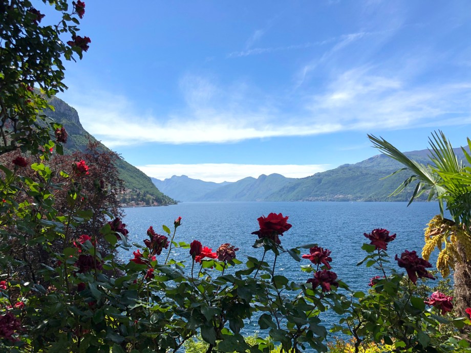 CC8B21B3-23AB-4726-95AA-2FEB6077CAB2