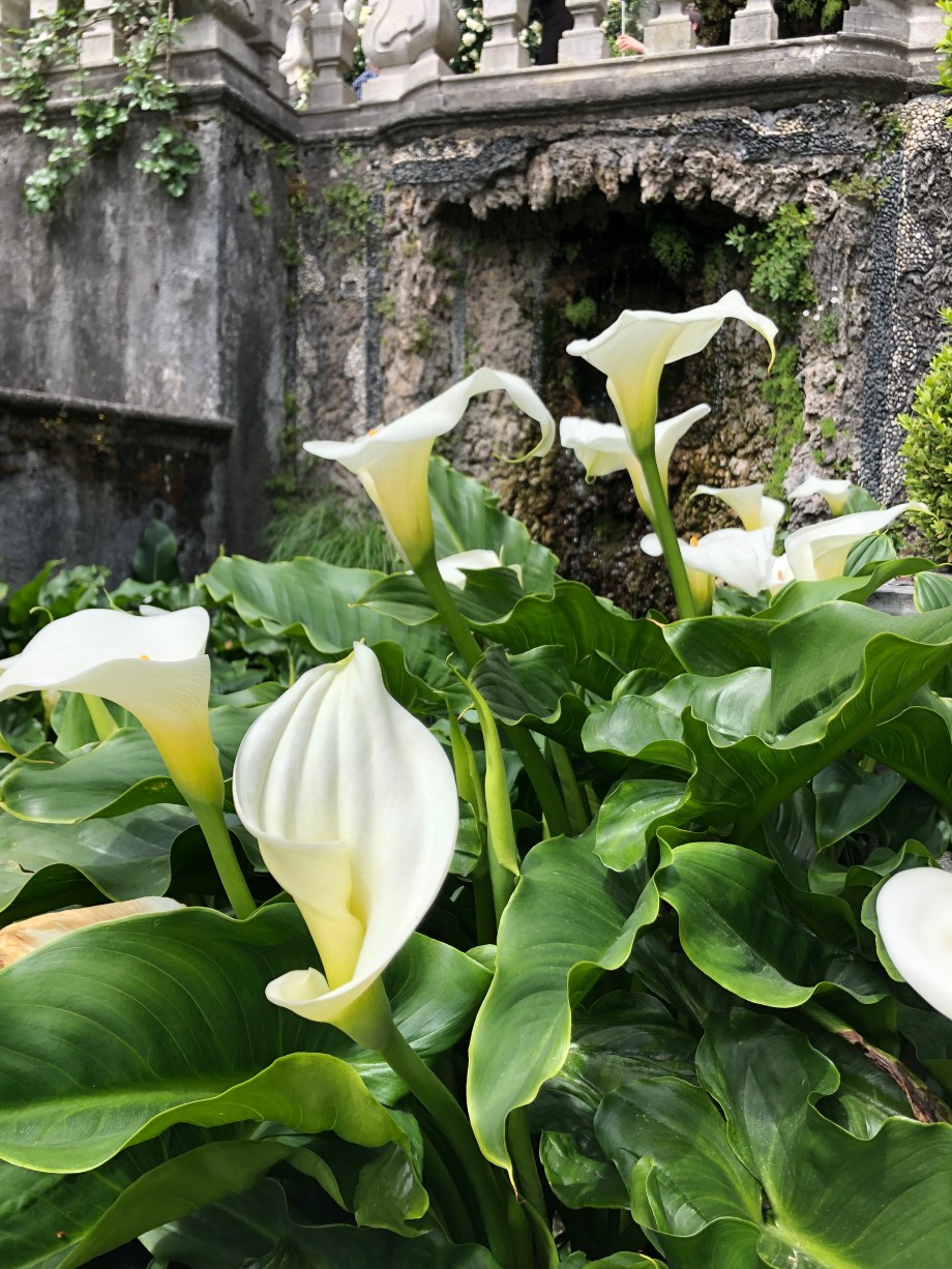 E08DB23D-3149-4F02-B6A2-83BE07563740