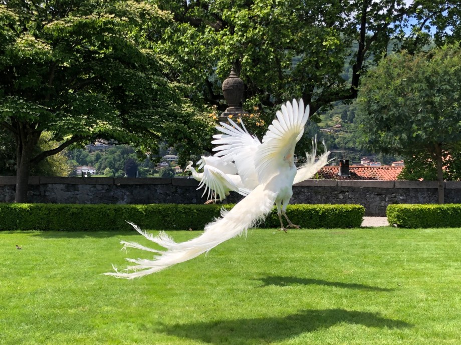 FE837311-EE2F-4ACD-A8A5-889D278BA15C