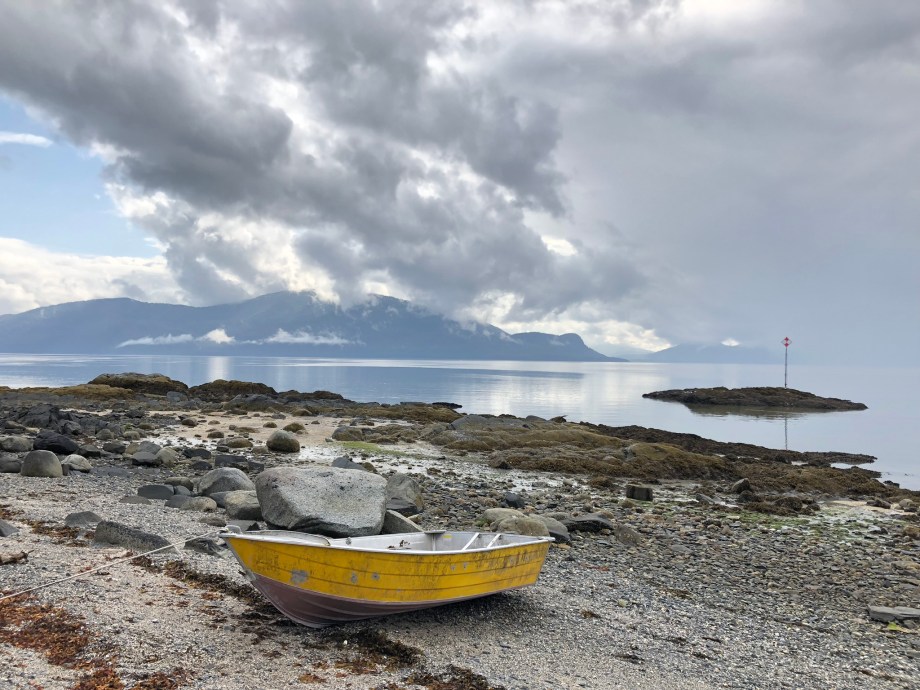 378F980A-1A6F-4075-A3A1-F3C01CBAF1B3