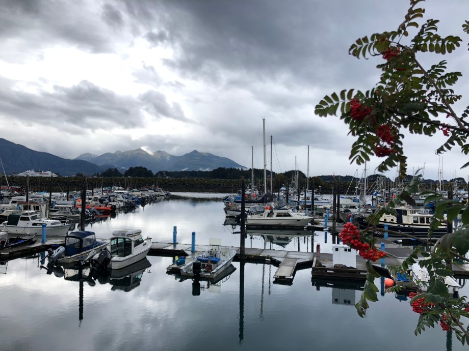 486BF667-BBFF-4524-A69F-714CEA49B506