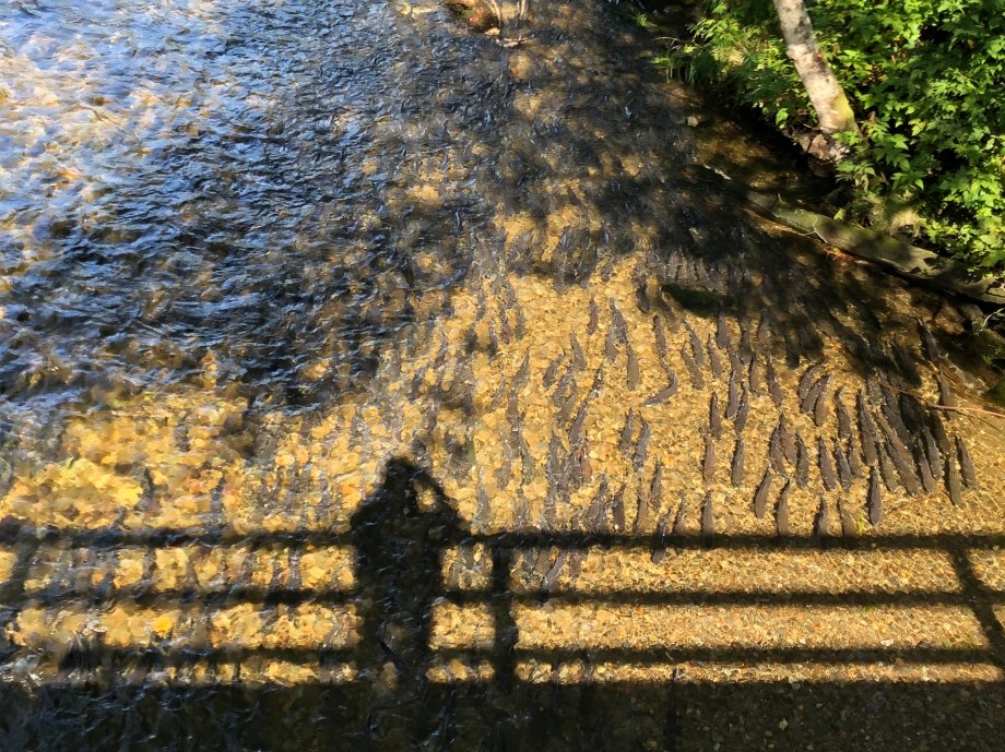 54490838-3B33-474F-802C-3BA955054F04