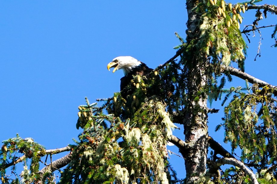 6C9119FA-BD4B-40B1-82F5-D914D2CB1A9D