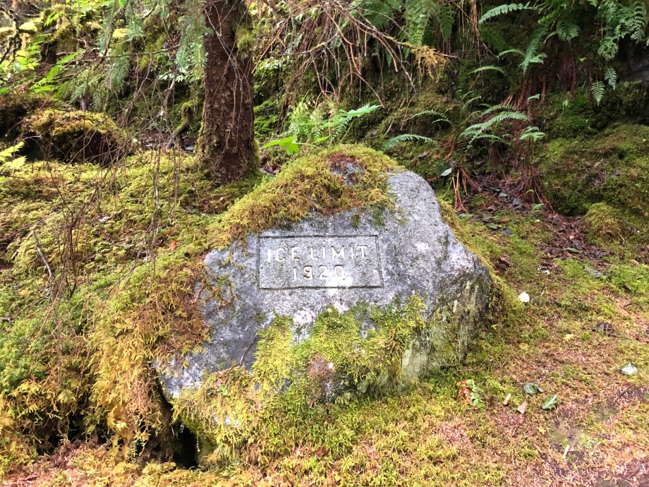 72D91413-FCDF-4DD4-B2F0-096FF76D812C