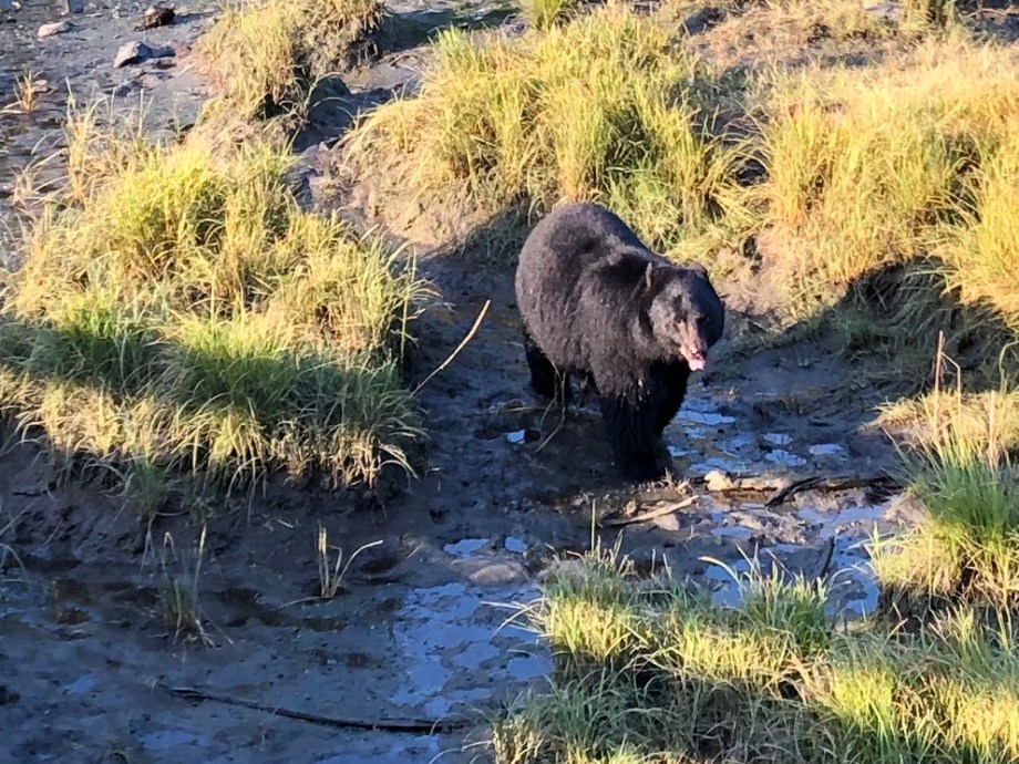 8837CEB8-CC98-4B11-A10E-6762488C6B4F