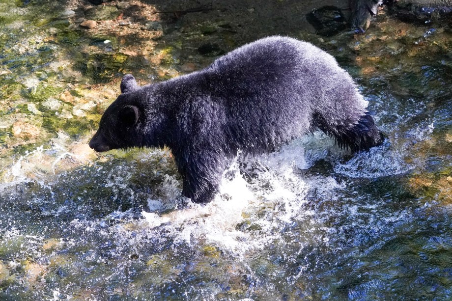 A2586F0A-D3B8-403B-BEA4-BF958F68B59D