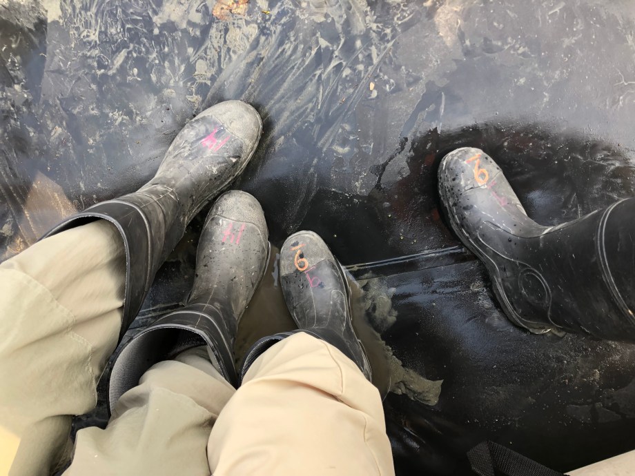 B83B0A94-23E5-4239-9B7D-1C7FEBB6899C