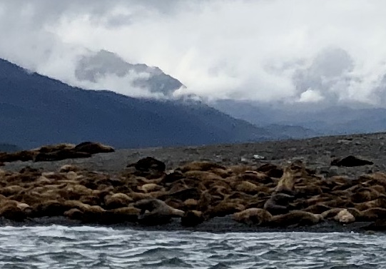 C4456402-5AA8-47C8-80BB-A247BFD7F4EB