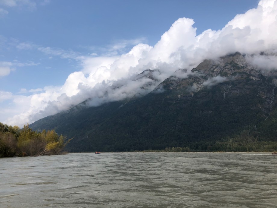 CD73EC7B-DC32-4D7C-92D5-123D4EDB1C98