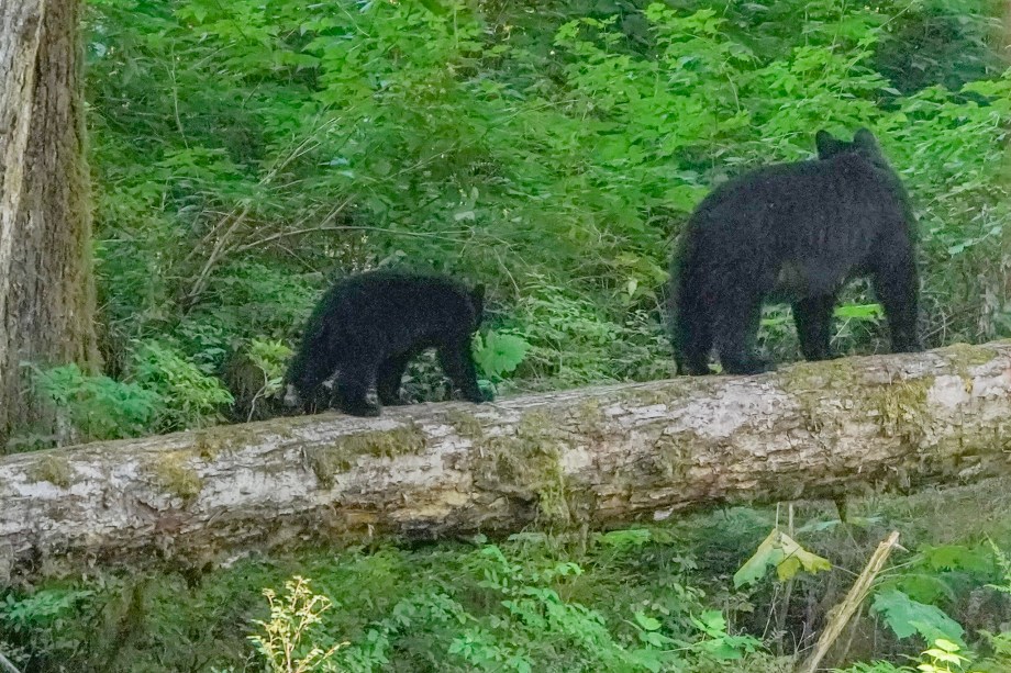 ECDE0DDC-6FAE-4461-9D26-877EE4FC7BF7