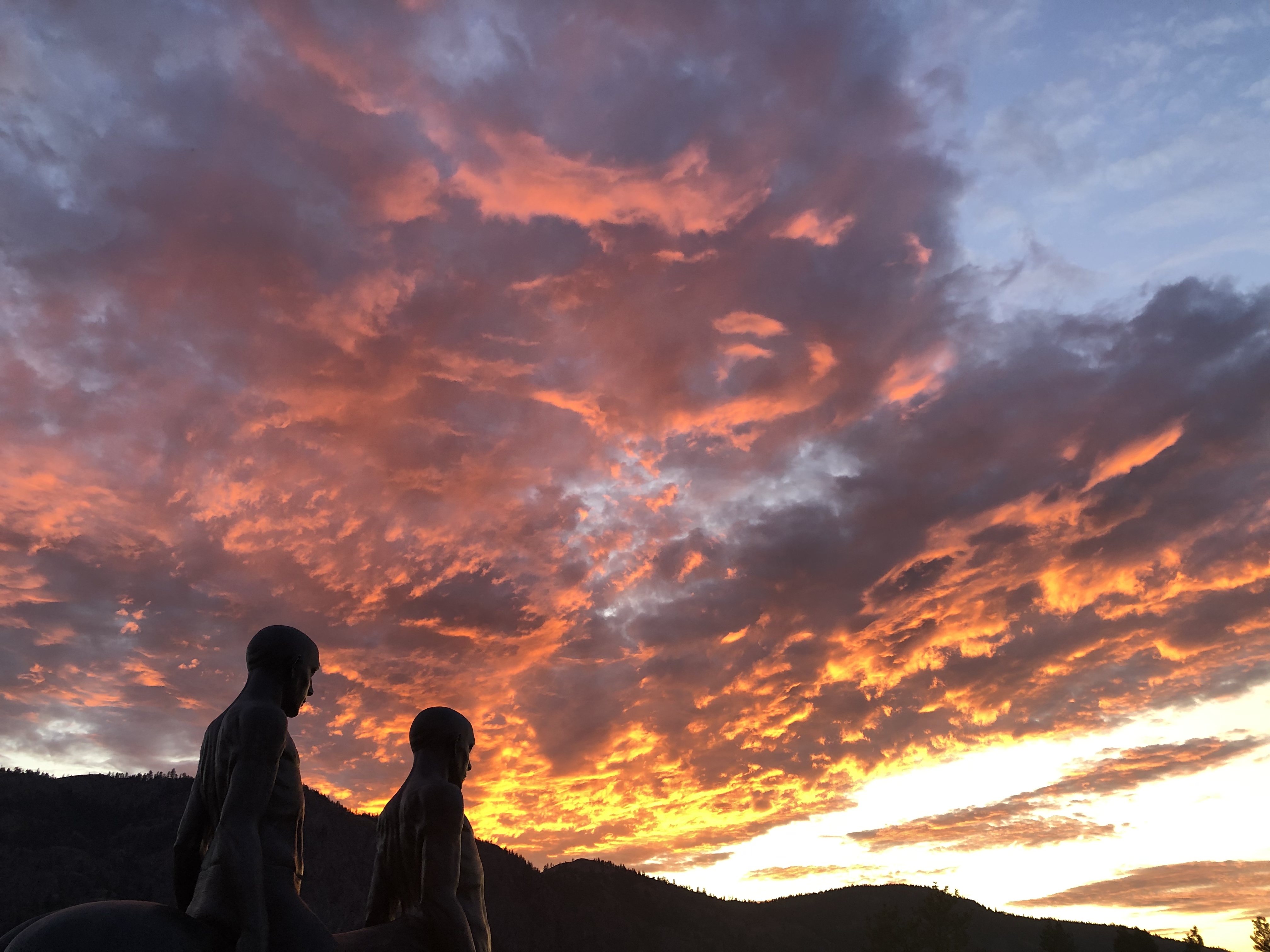 0687DD73-CD11-4E3F-A20A-0F33067470D8