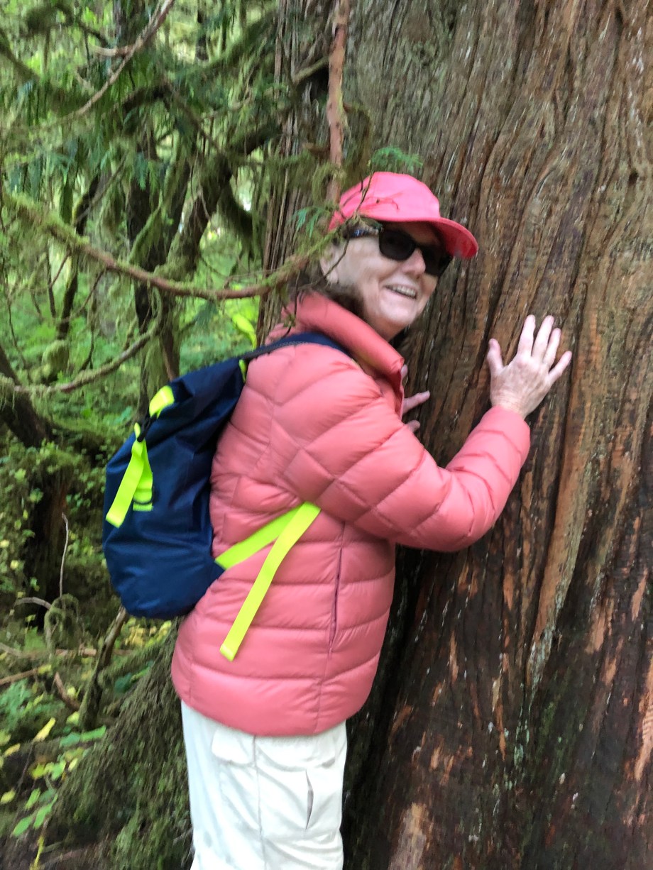 0920611F-4774-4EBA-8543-B5B1A7649FCB