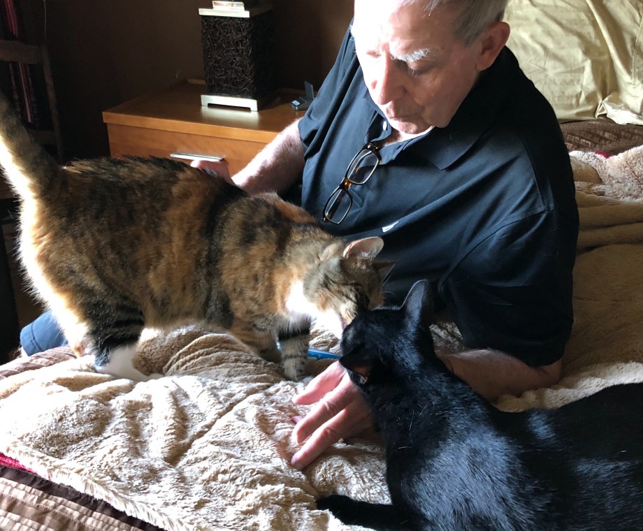 17C659B1-6DE2-48F3-BD20-5247942EEDD9