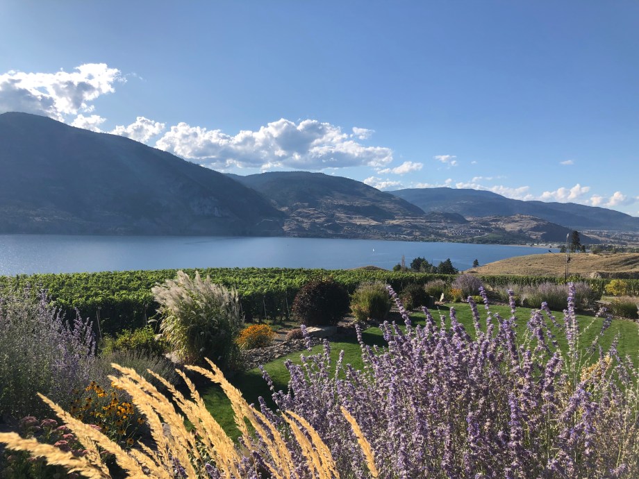 222F44C8-F07C-4C1E-A549-2FFBBB9B5E59