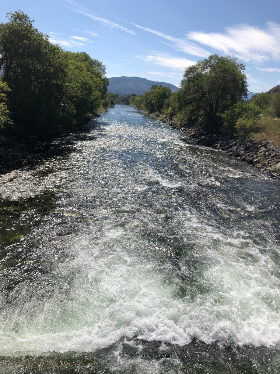 5D2D9891-CEDD-47A3-80ED-5F9C7EB78046