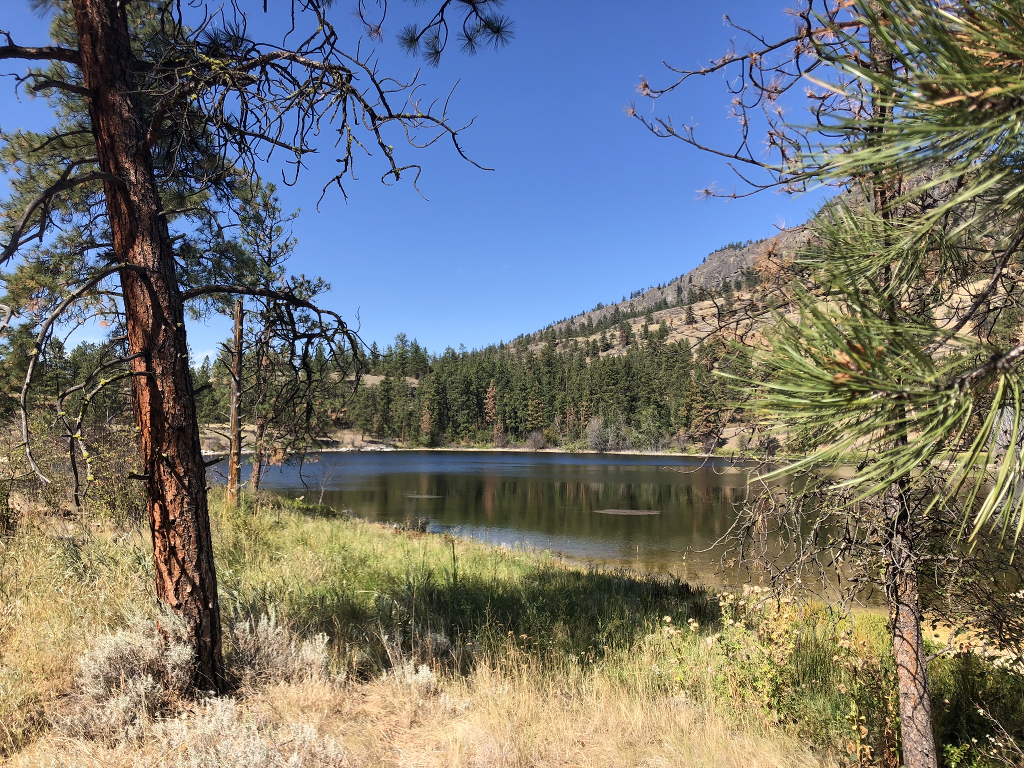 607E4CE2-CDE3-49E3-82E6-02B25754E8E3