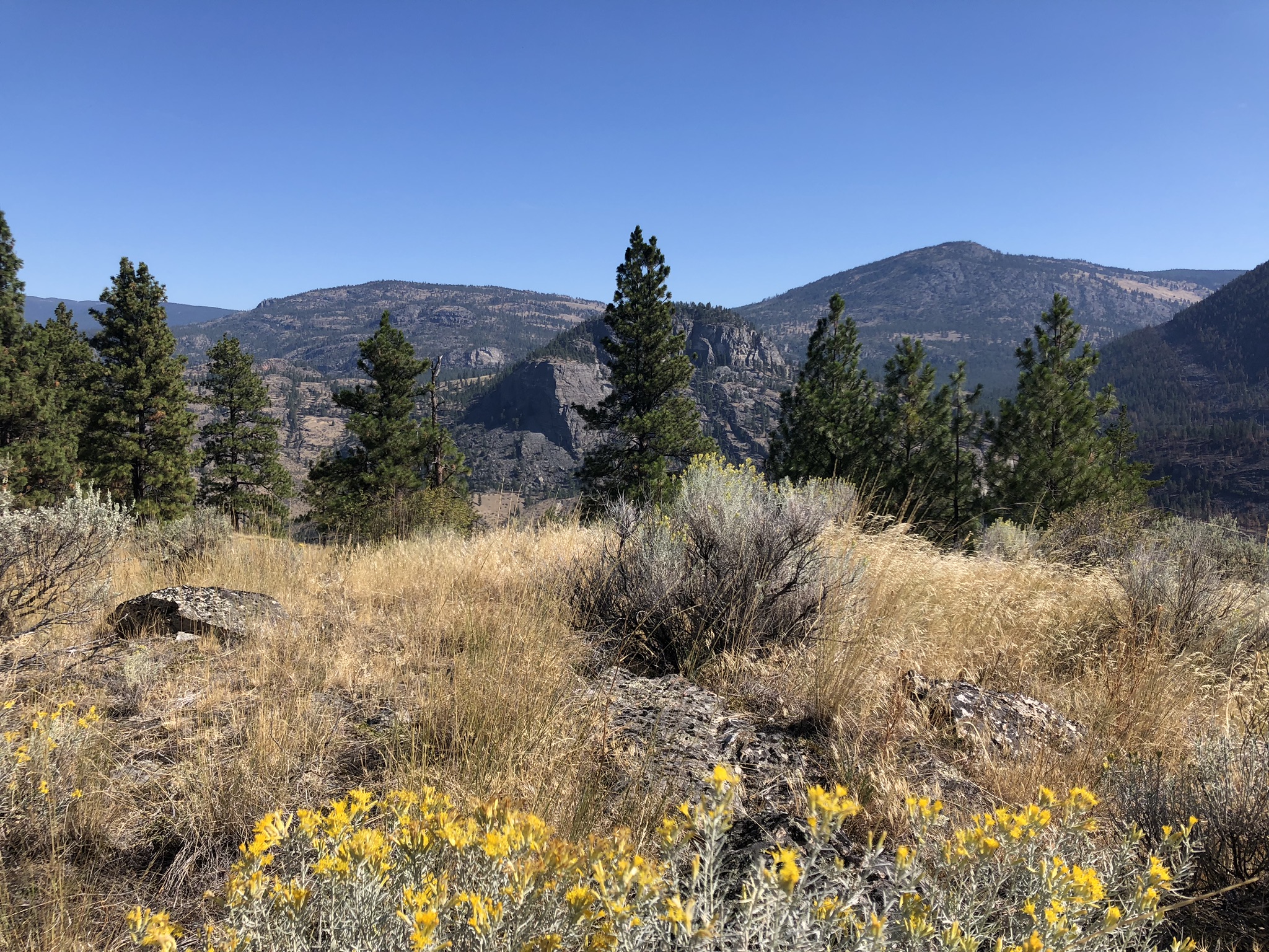 8DCA85E7-3611-4F95-9B58-1AF700089F18