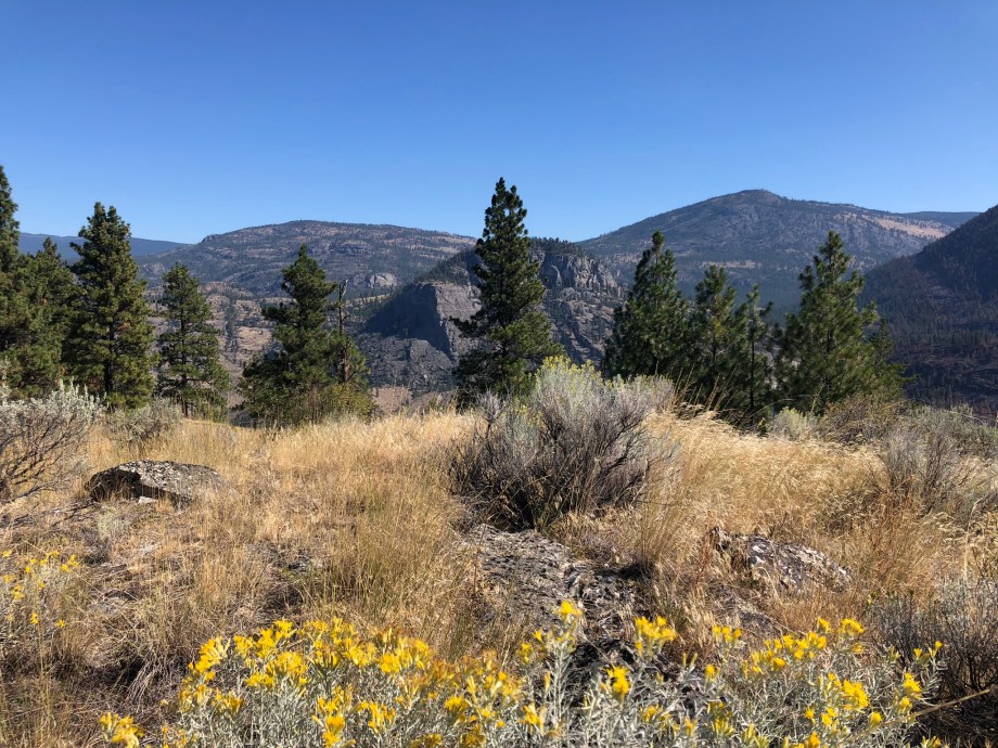 8DCA85E7-3611-4F95-9B58-1AF700089F18