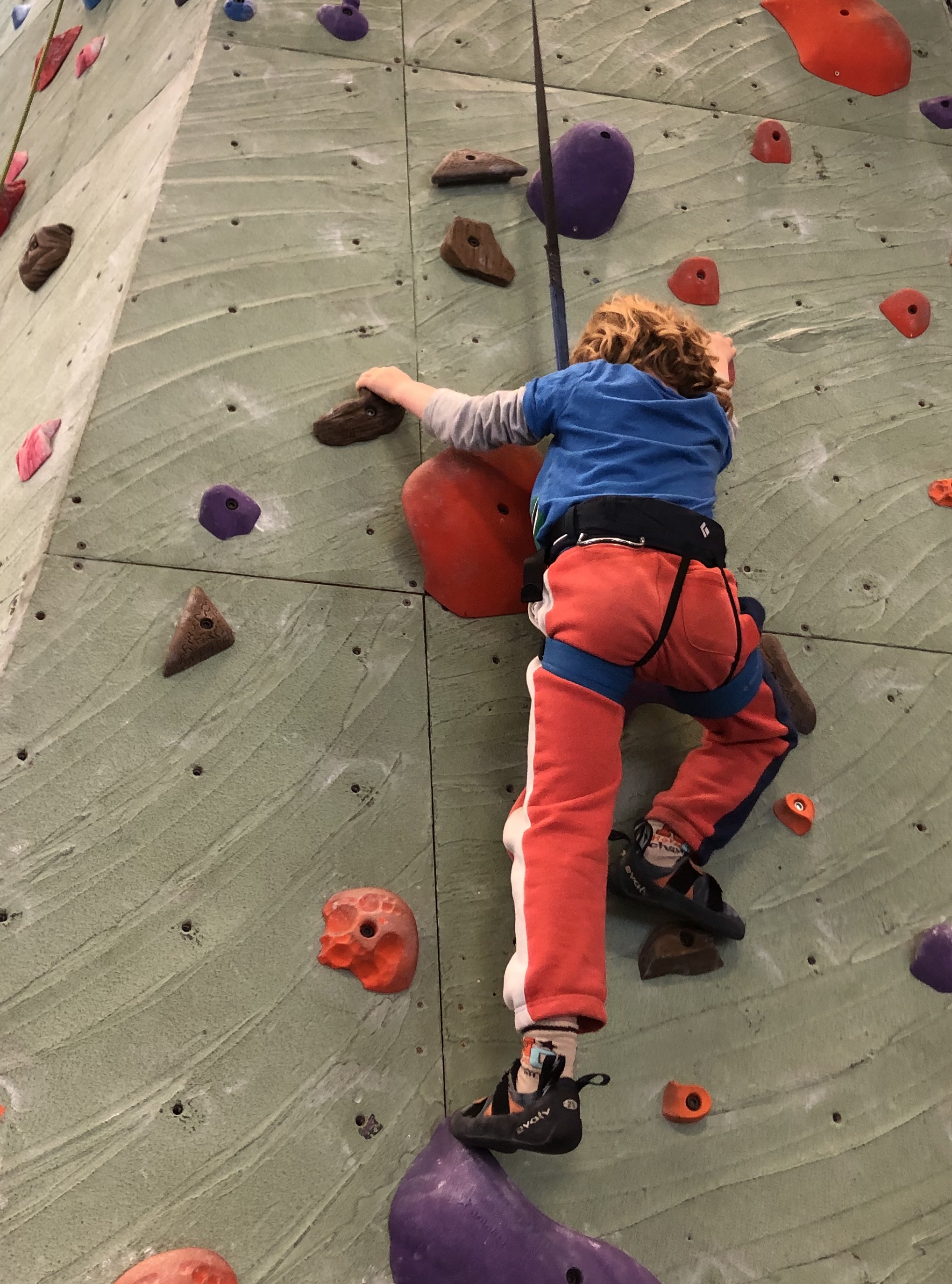 C7D341C8-0A98-4FE2-8359-78C2EABC1E12