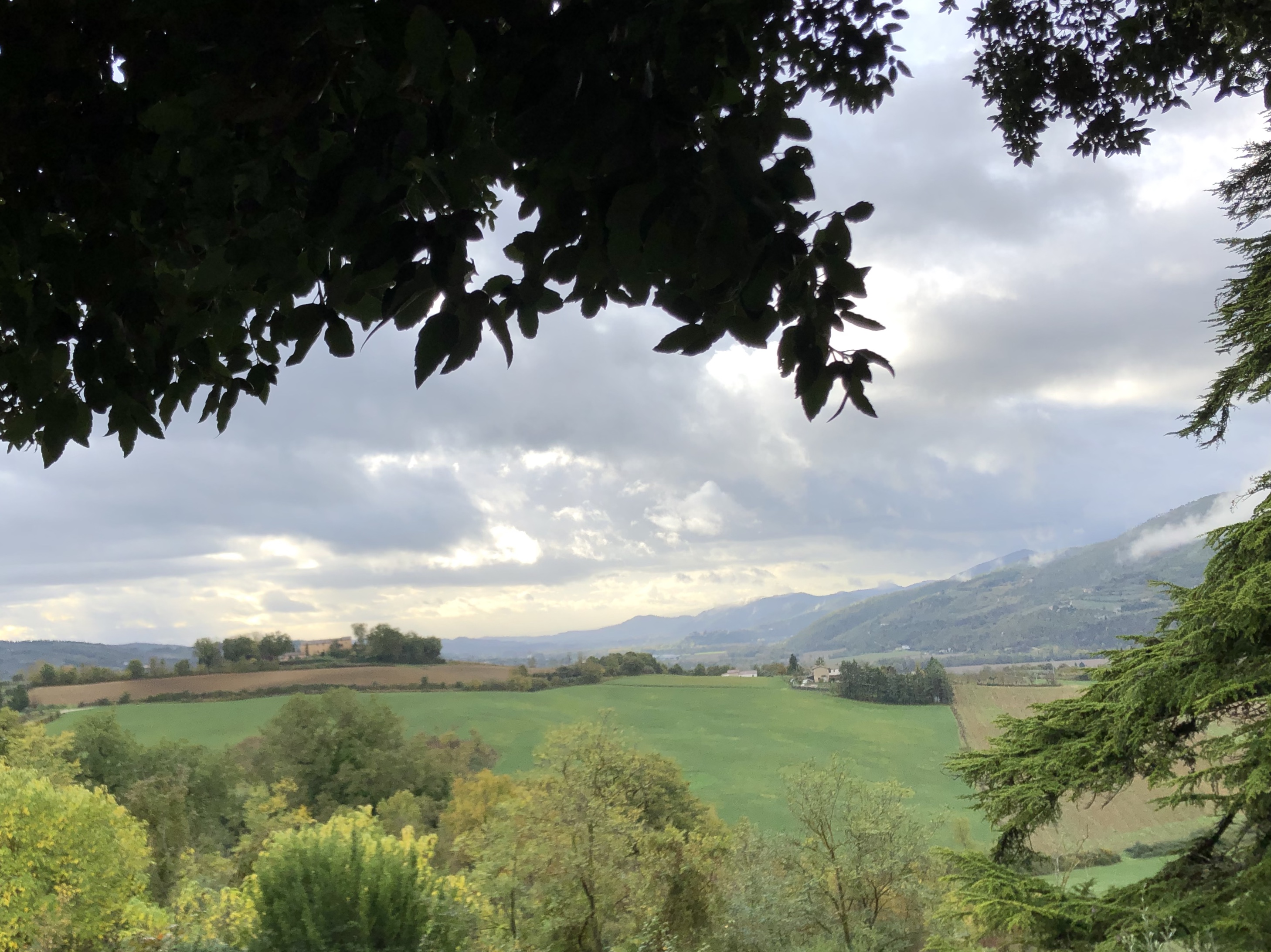 15434017-705F-408B-8463-9EDAD22CD666