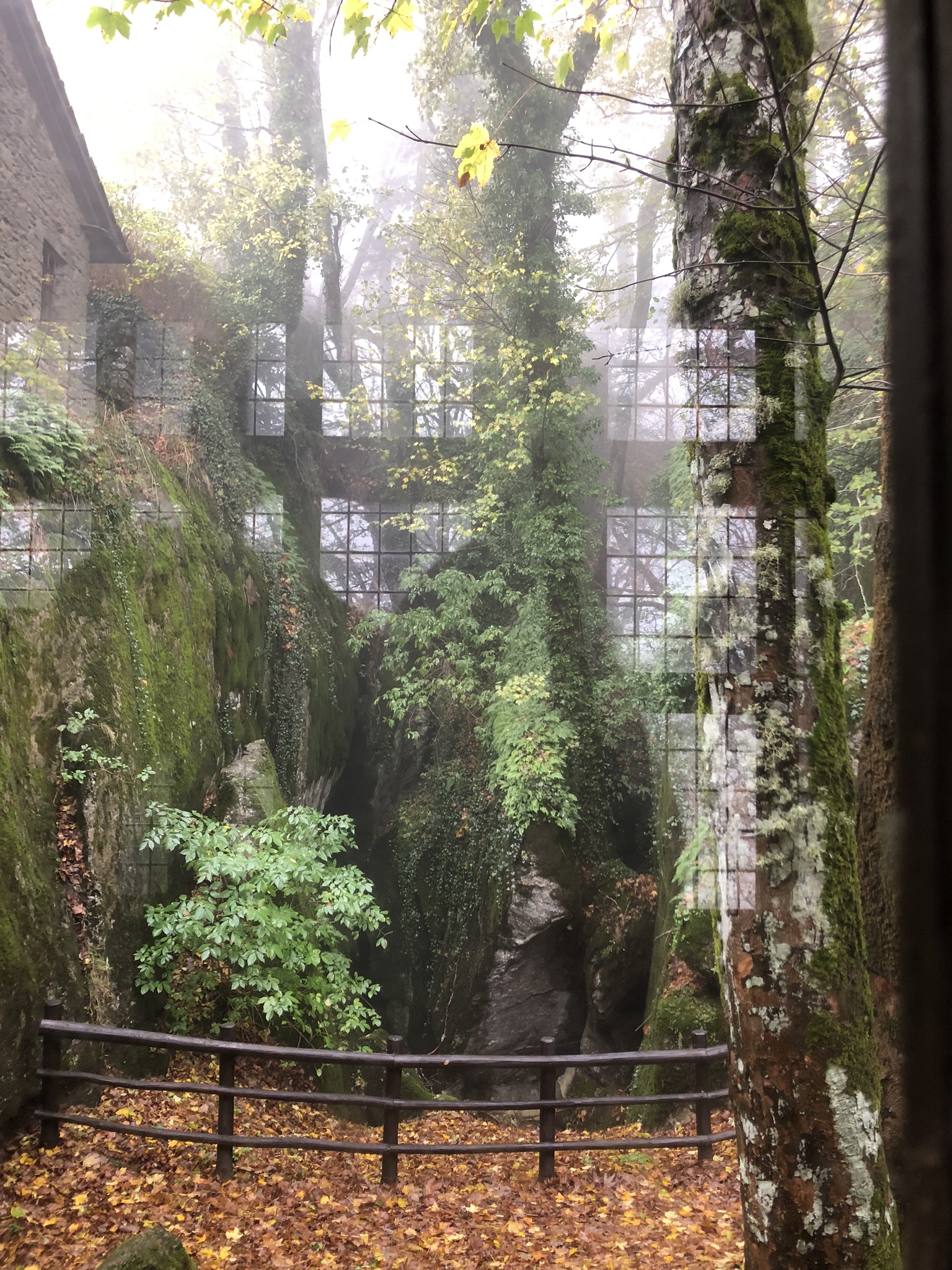 2E9CCC24-2571-45B9-8FFF-6249B7EDBFF9