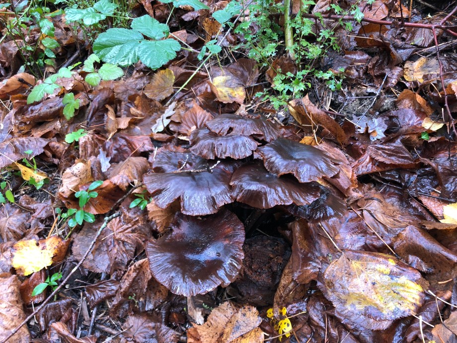 46822D94-5CF1-4BC8-AFA5-85744AD3F44B