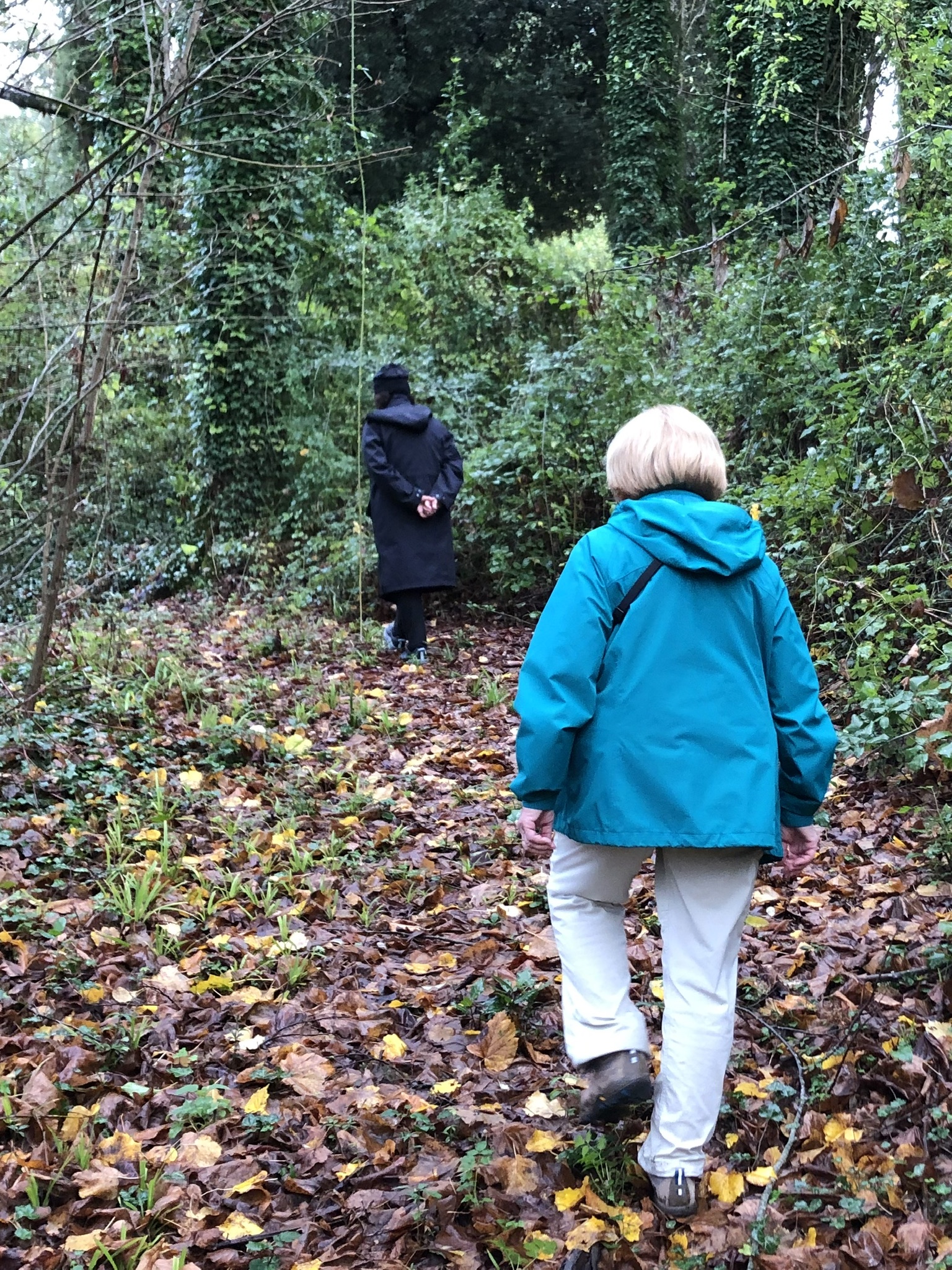 656C3C85-45B4-4FB9-8C4B-82F545270290