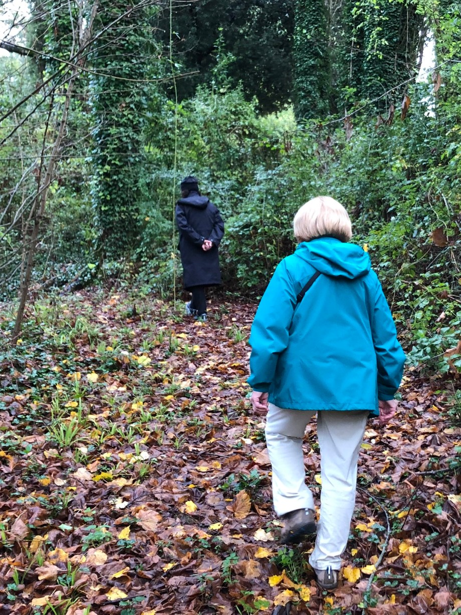 656C3C85-45B4-4FB9-8C4B-82F545270290