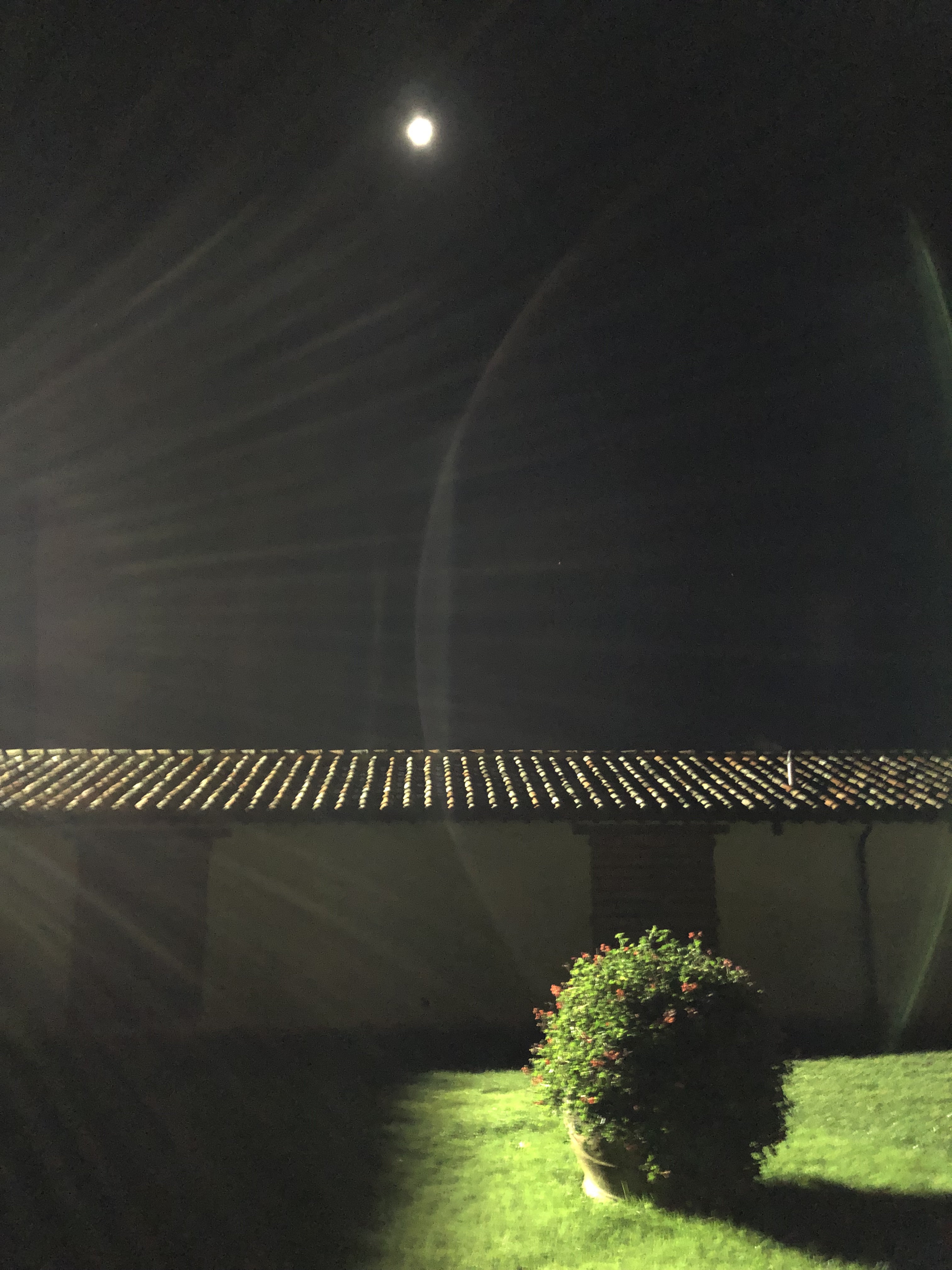 8A770C01-641F-4F37-B25D-C59A69C91E7E