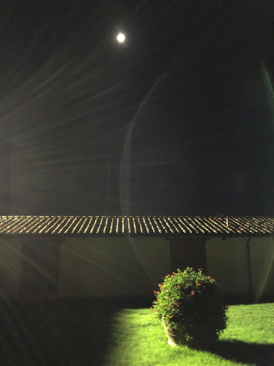 8A770C01-641F-4F37-B25D-C59A69C91E7E