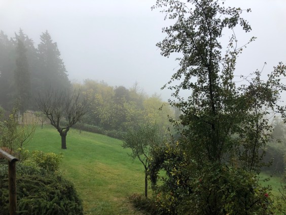 9uQ5NI8FSsi96+RpTZUOCQ