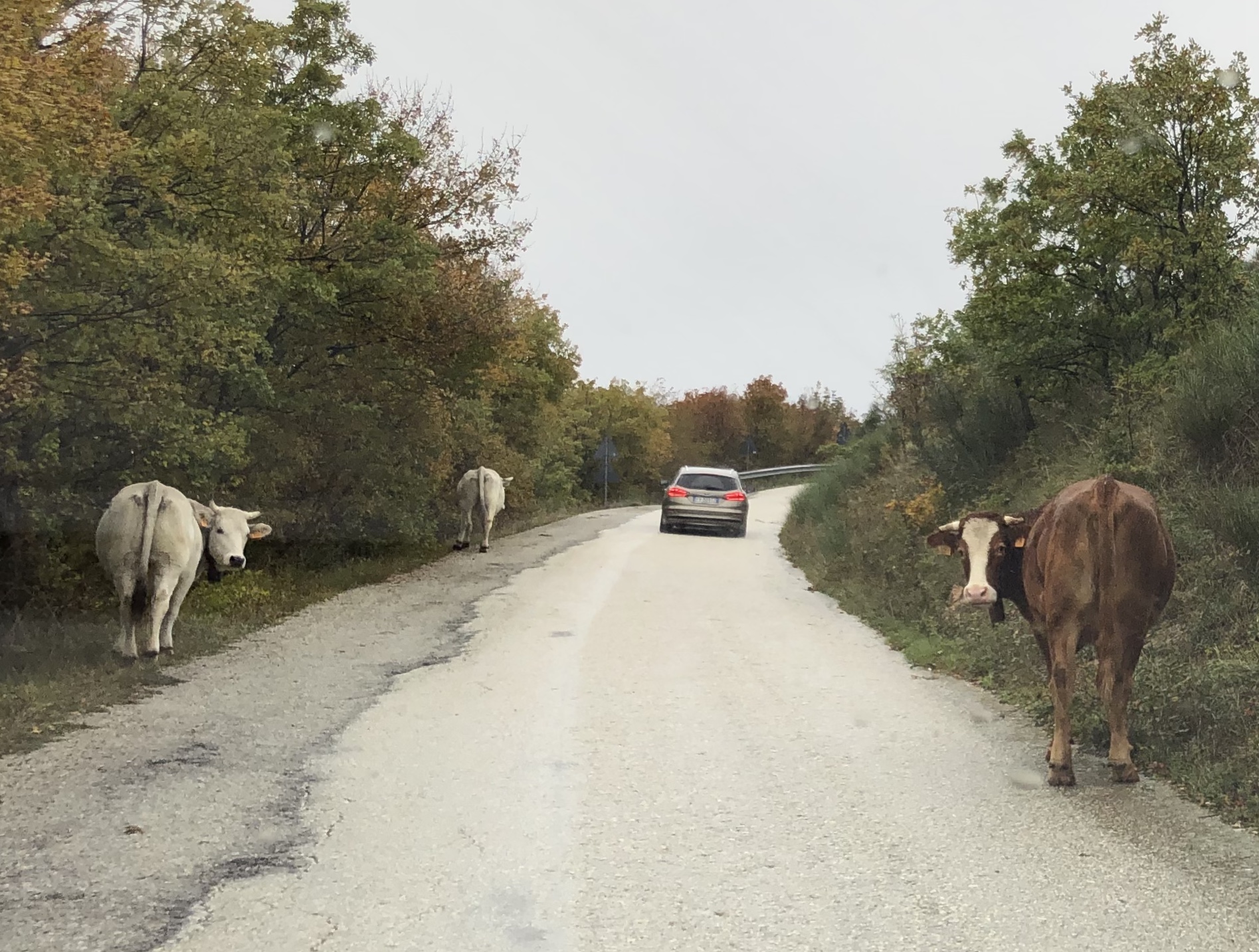 A3989860-EE8C-44D6-AF50-86A0F48C1847