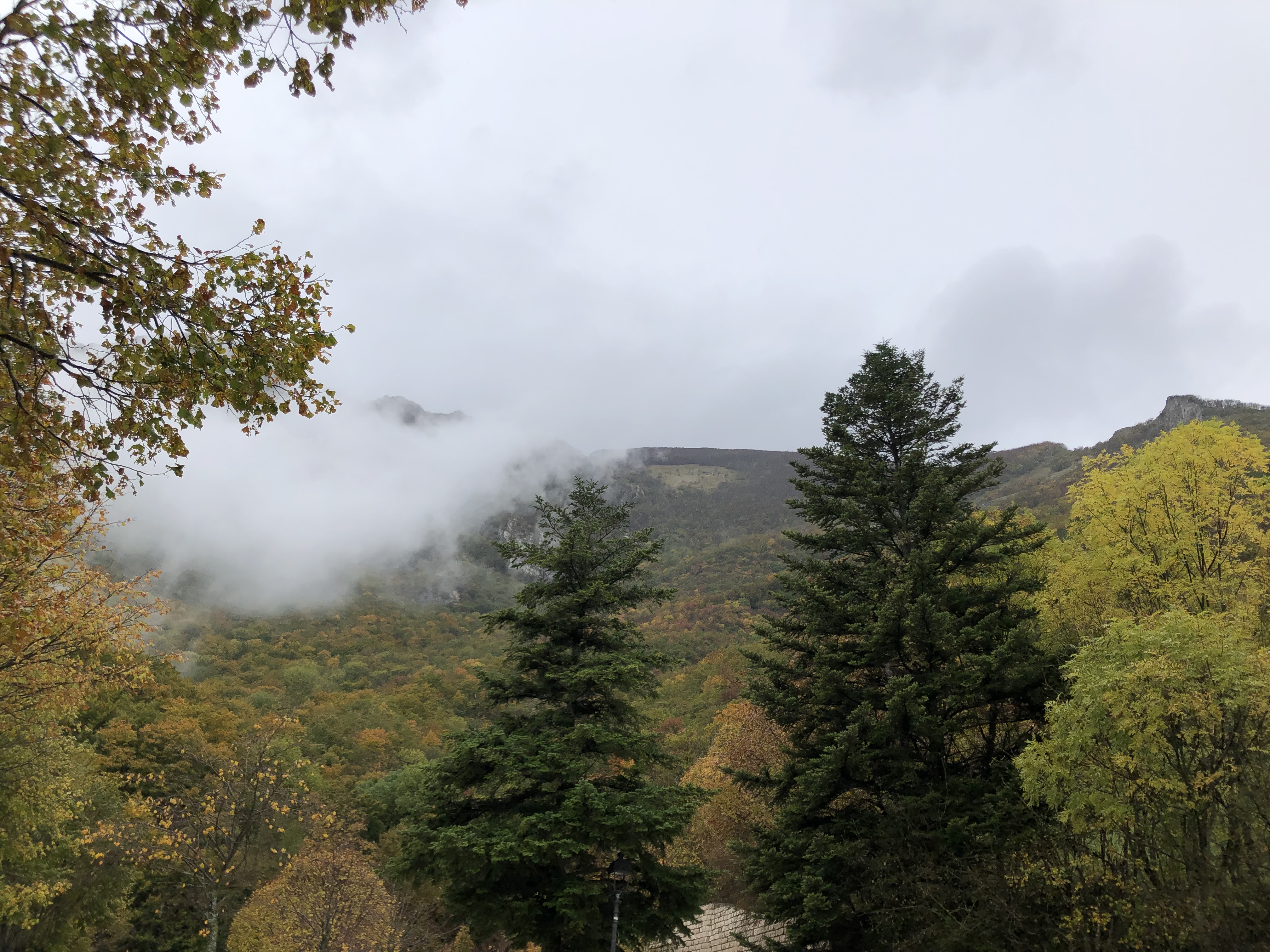 D497E4C7-A30A-4AB6-97BC-4A1CFA936189