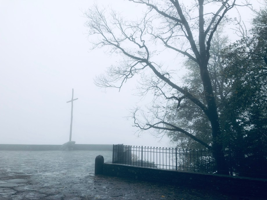 DA946169-02B8-4235-A890-ECA116DA5D54