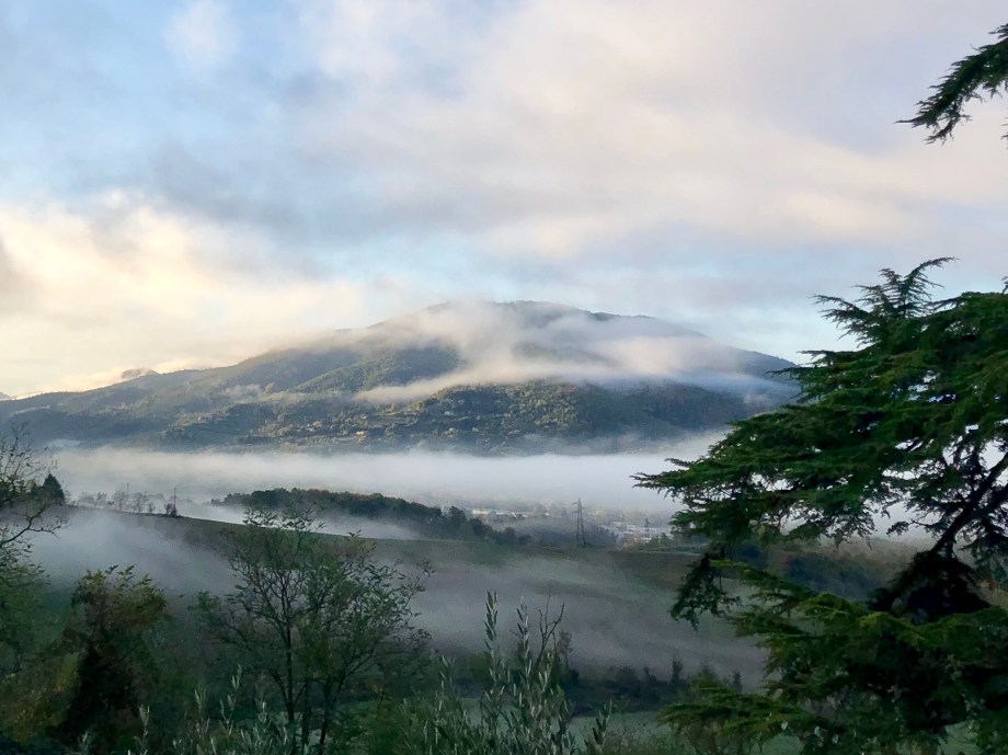 FA33C2B0-AF96-45D2-8D4F-19E219C8F1B0